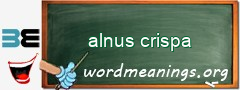 WordMeaning blackboard for alnus crispa